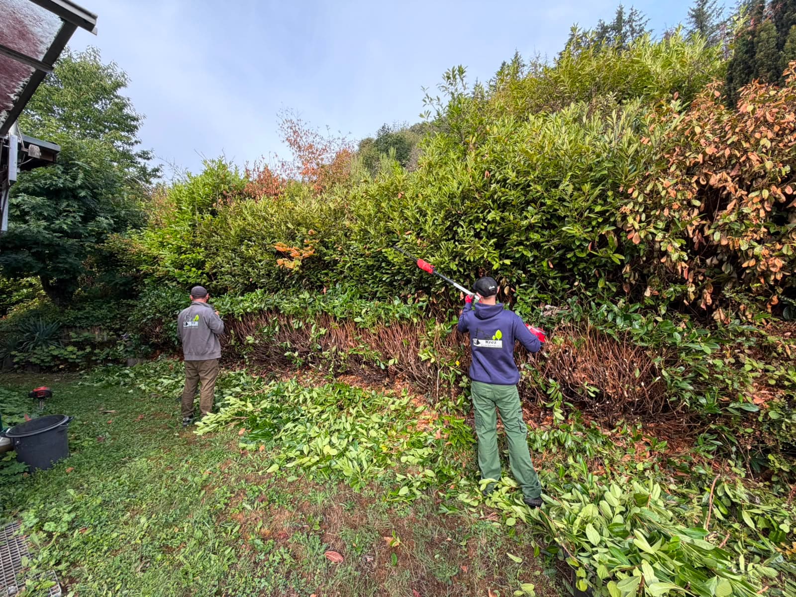 Mitarbeiter von Gartenbau Krez beim Rückschnitt einer hohen Hecke