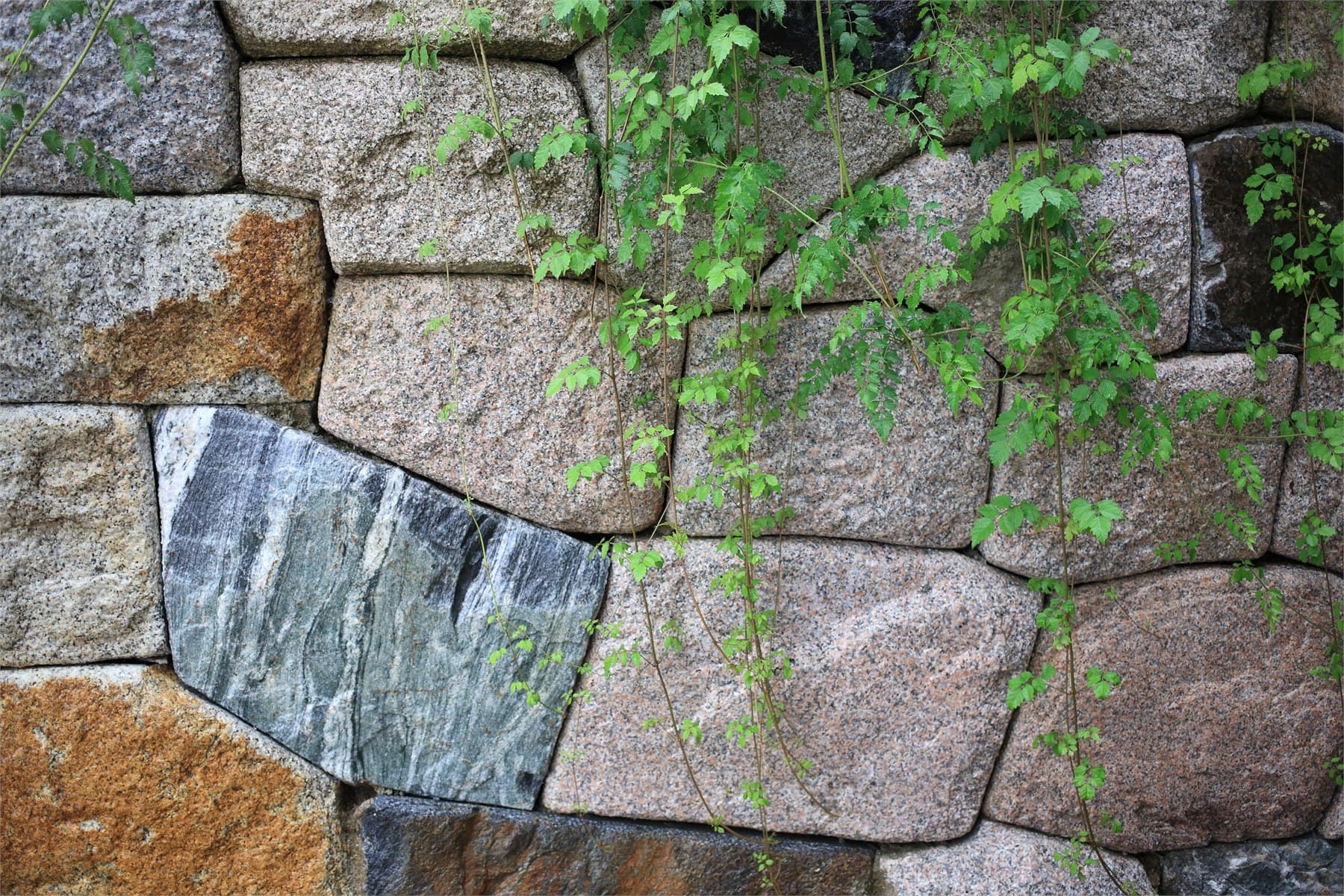 Natursteinmauer mit bewachsenem Rand